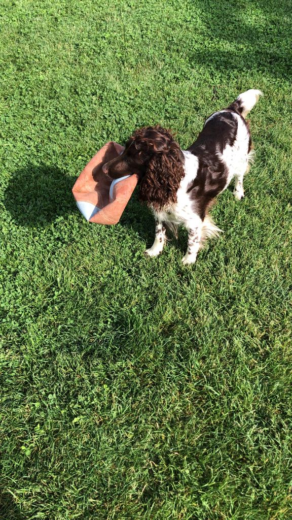 Ruby du chemin des cavaliers